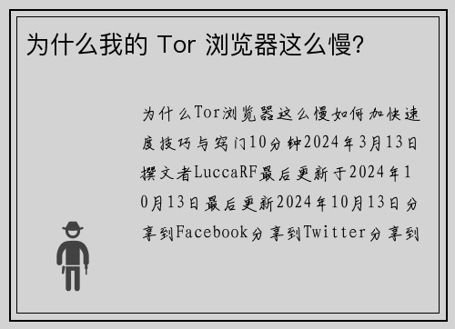 为什么我的 Tor 浏览器这么慢？ 