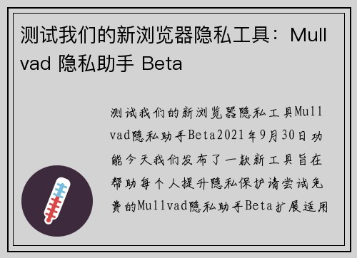 测试我们的新浏览器隐私工具：Mullvad 隐私助手 Beta 